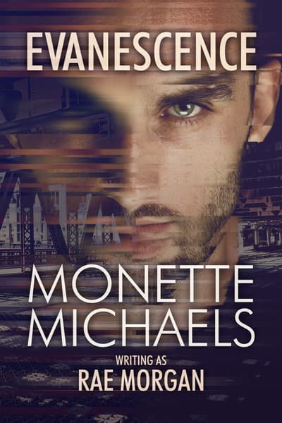 Book cover for Evanescence by Monette Michaels