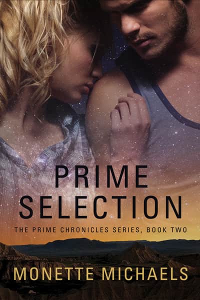 Book cover for Prime Selection by Monette Michaels